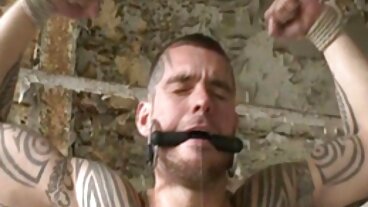 Màu set viétub Xanh Vanity Vanità