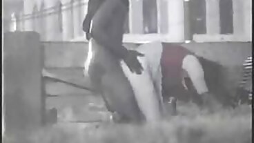 Miễn sex vietsub mới Phí Đồng Tính Nữ Khiêu Dâm